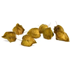 Depot Articles A Parsemer Boutons De Lampions