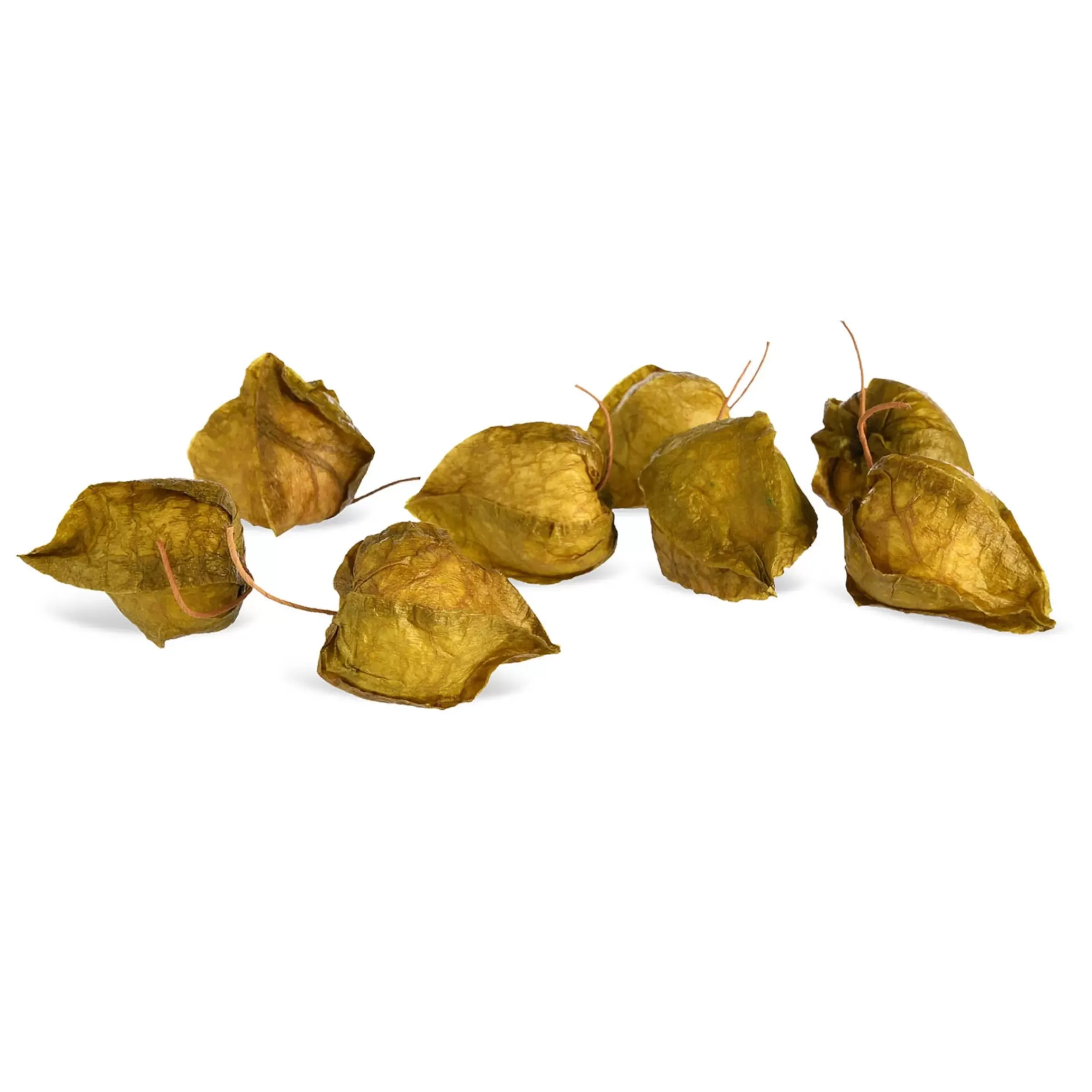 Depot Articles A Parsemer Boutons De Lampions