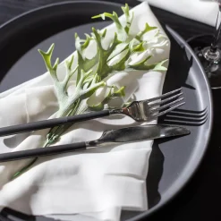 Depot Assiette Plate Roca