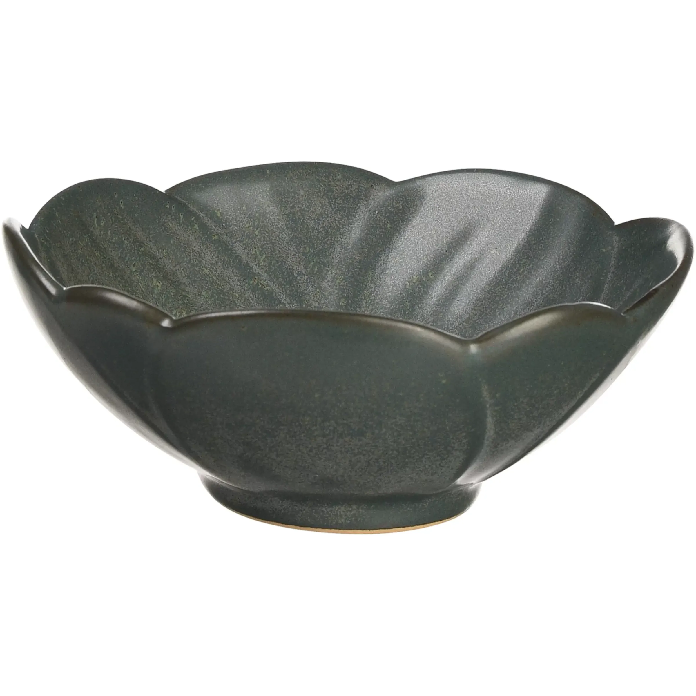 Depot Barquette A Dips Flora