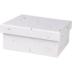 Depot Boite Cadeau Nature