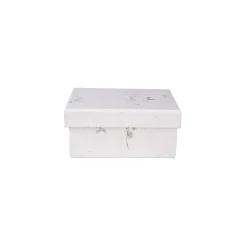 Depot Boite Cadeau Nature