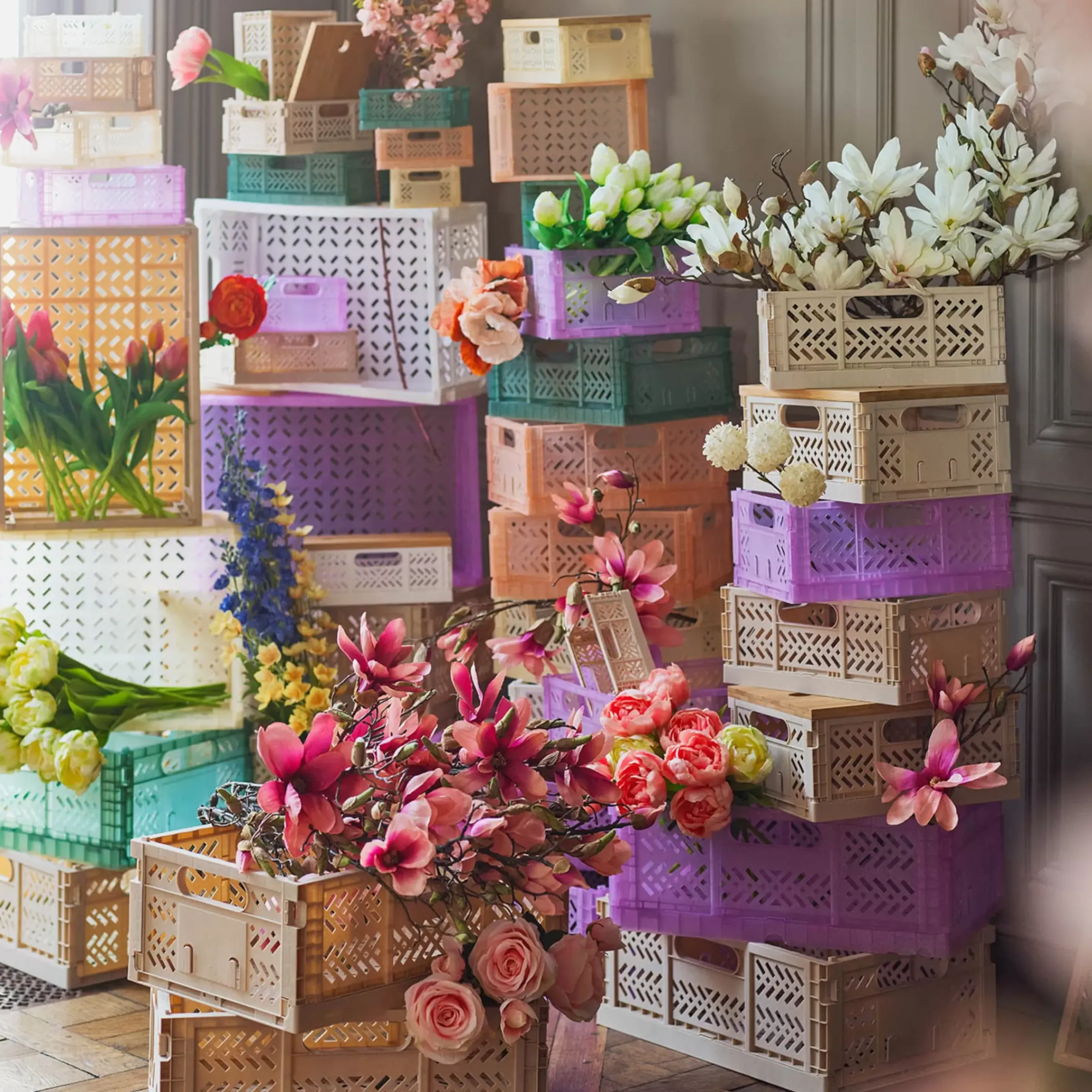 Depot Boite Pliante S