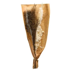 Depot Bouquet De Fleurs Sechees Best