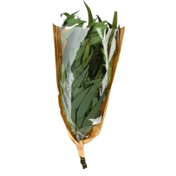 Depot Bouquet De Fleurs Sechees Eucalyptus Online