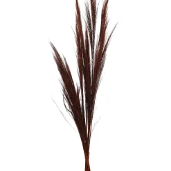 Depot Bouquet De Fleurs Sechees Herbe A Balai