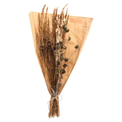 Depot Bouquet De Fleurs Sechees Shop