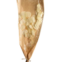 Depot Bouquet De Fleurs Sechees Eucalyptus