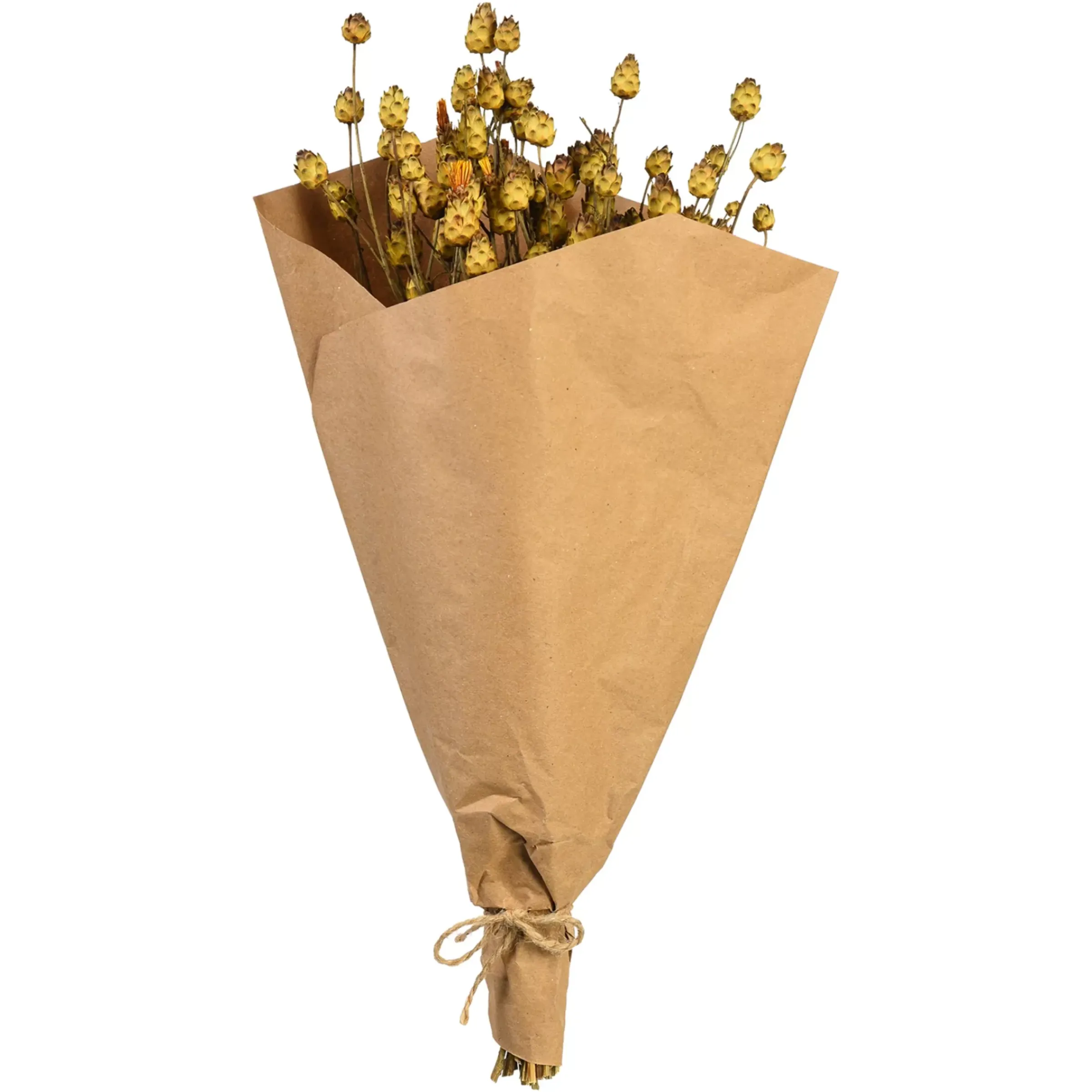 Depot Bouquet De Fleurs Sechees Tournesol