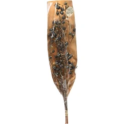 Depot Bouquet De Fleurs Sechees Baies