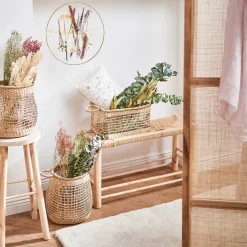 Depot Bouquet De Fleurs Sechees Setaria Hot