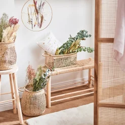 Depot Bouquet De Fleurs Sechees Eucalyptus