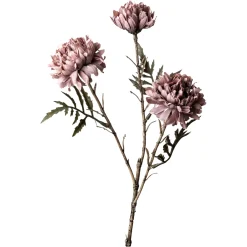 Depot Branche Artistique Chrysantheme