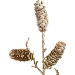 Depot Branche Artistique Cone