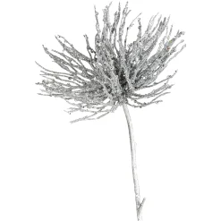 Depot Branche Artistique Corail