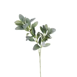 Depot Branche Artistique Eucalyptus