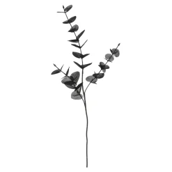 Depot Branche Artistique Eucalyptus Hot