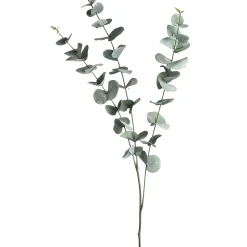 Depot Branche Artistique Eucalyptus