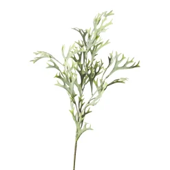 Depot Branche Artistique Fougere Des Bois