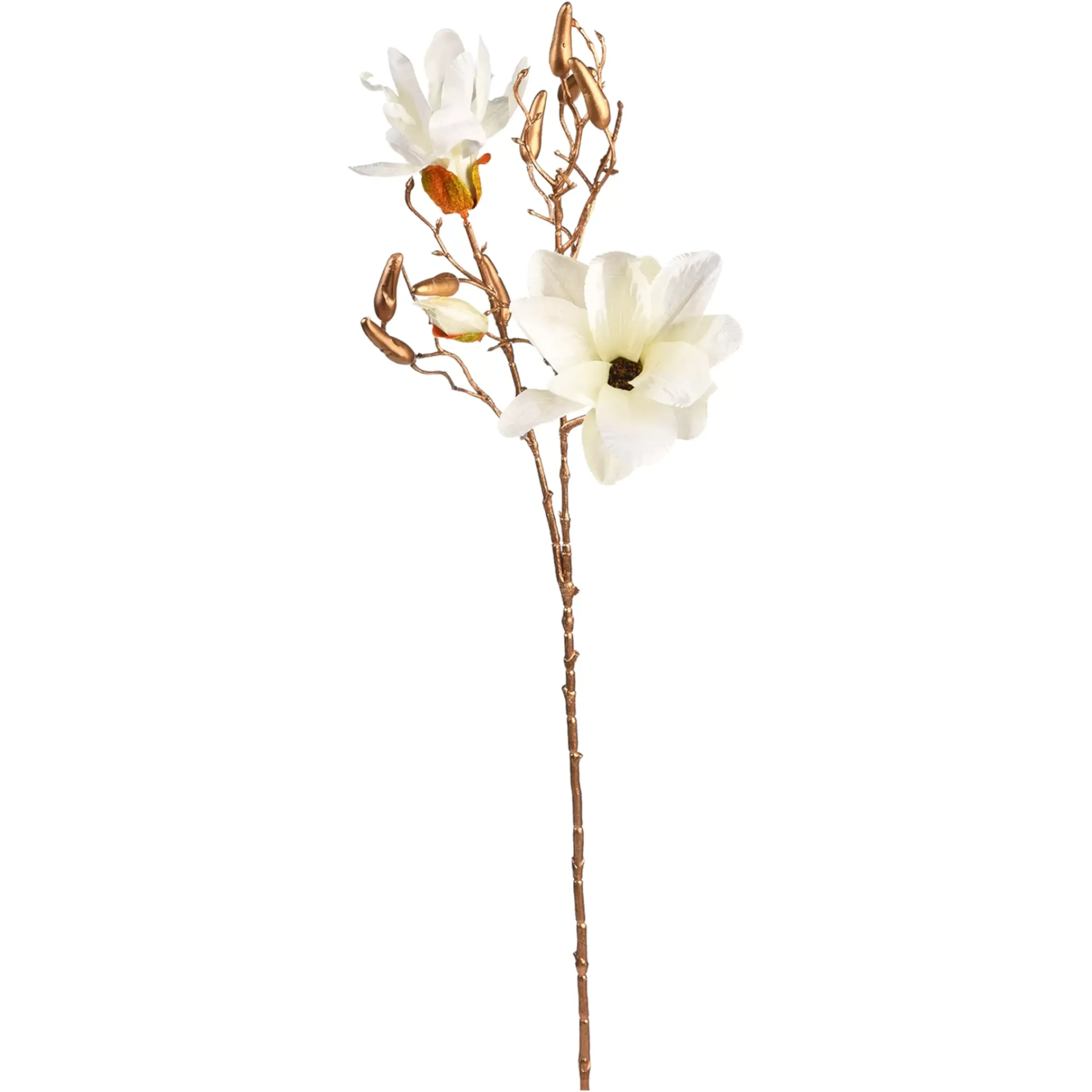 Depot Branche Artistique Magnolia Dore