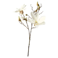 Depot Branche Artistique Magnolia Outlet