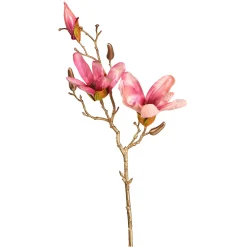 Depot Branche Artistique Magnolia