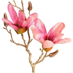 Depot Branche Artistique Magnolia