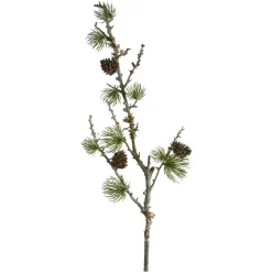 Depot Branche Artistique Pin