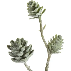 Depot Branche Artistique Pomme De Pin