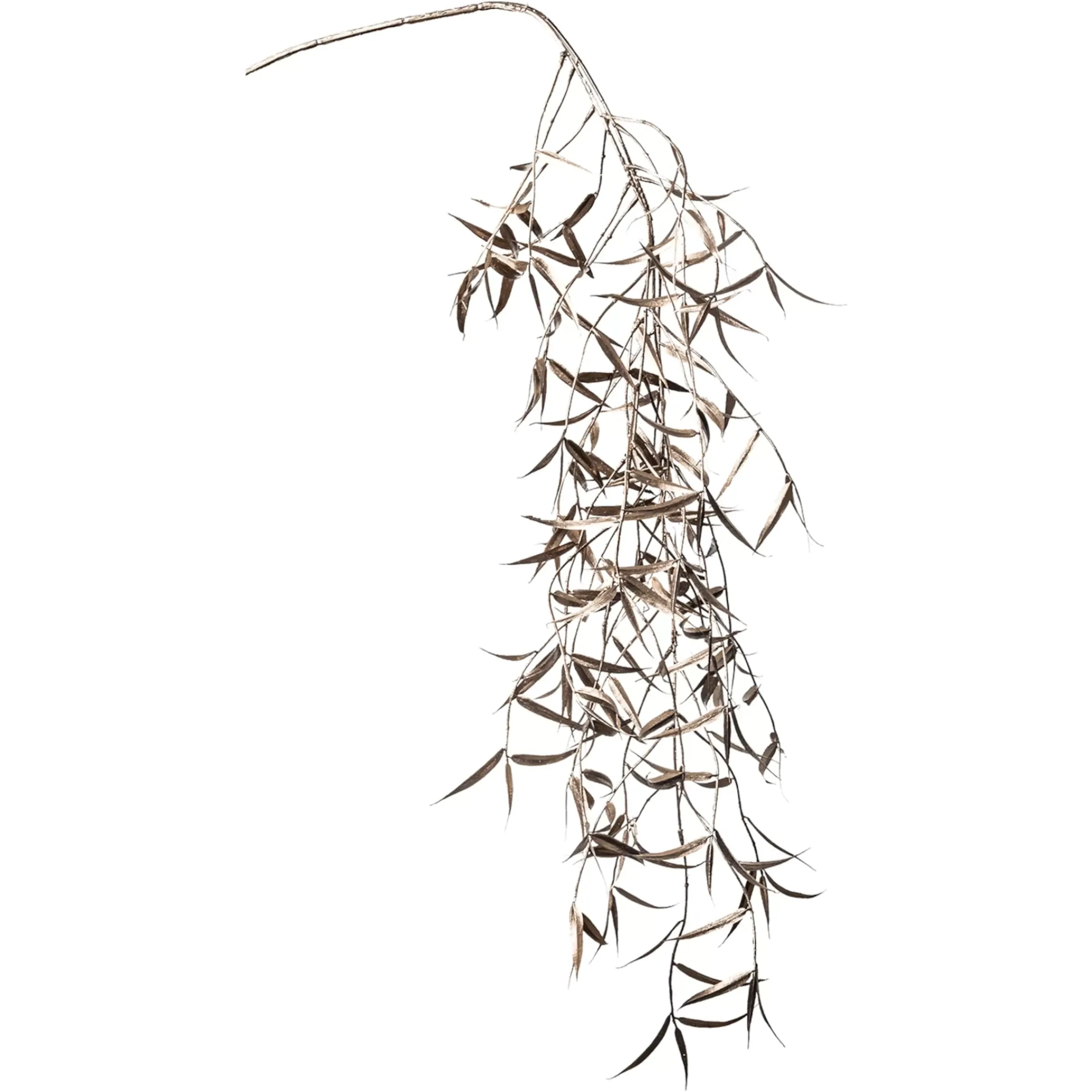 Depot Branche Artistique Saule Pleureur