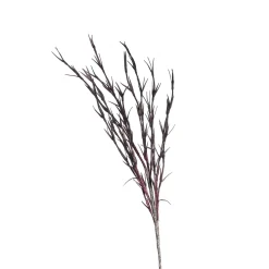 Depot Branche Artistique Softflower