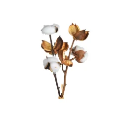 Depot Branche Naturelle Coton