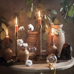 Depot Branche Naturelle Coton