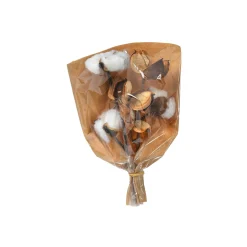 Depot Branche Naturelle Coton