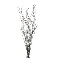 Depot Branche Naturelle Scintillante Shop