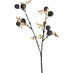 Depot Branche Scintillante