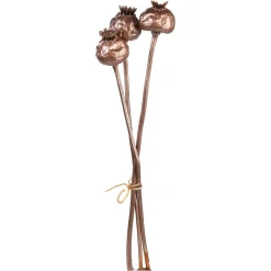 Depot Capsules De Pavot