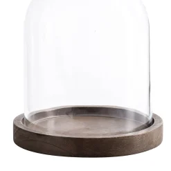 Depot Cloche En Verre Cheap