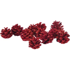 Depot Cônes De Meleze Décoratifs, Floques