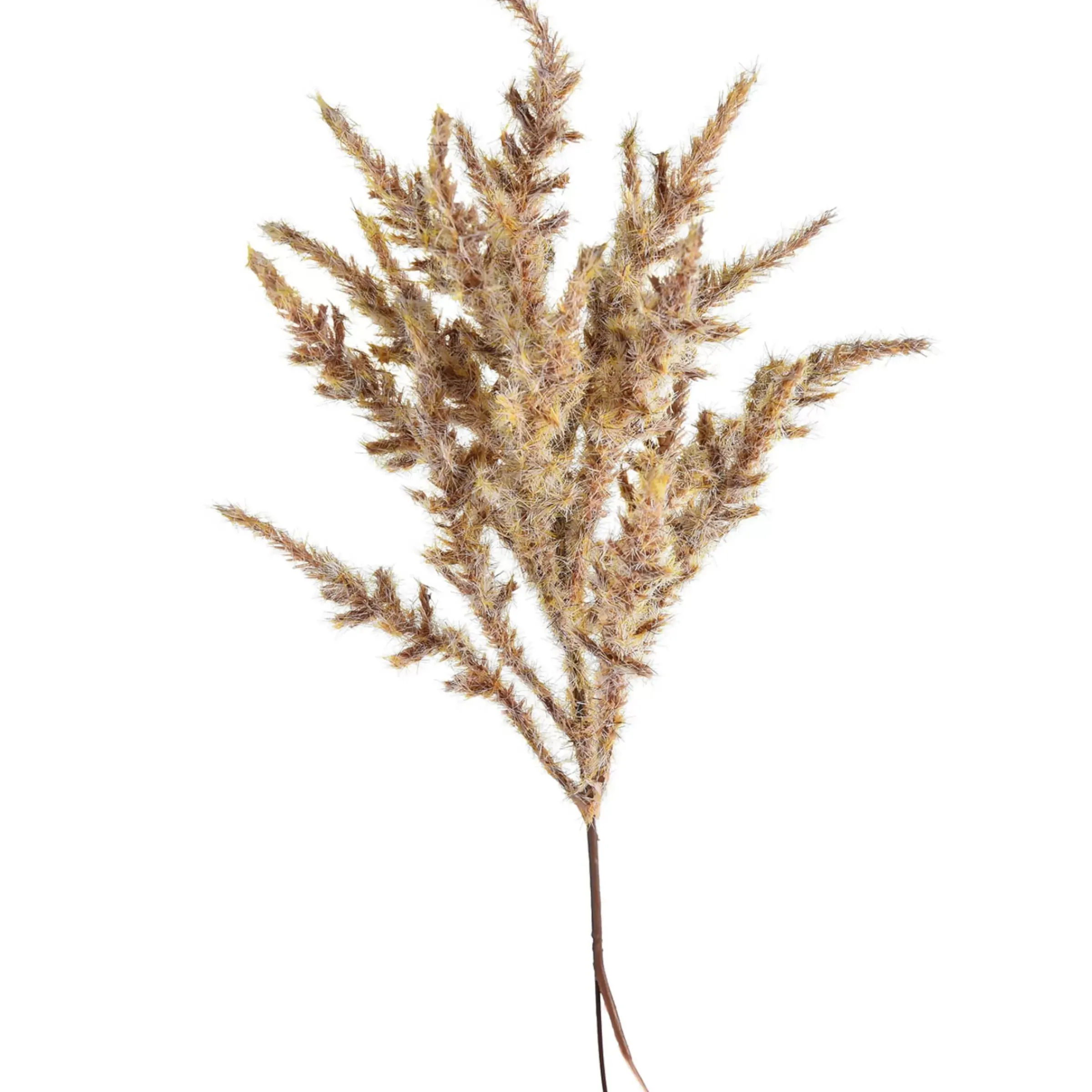 Depot Cueillette De Fleurs Artificielles Astilbe