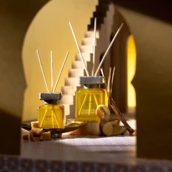 Depot Essentials Parfum D'Interieur Ginger Treasure New