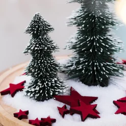 Depot Etoile A Distribuer