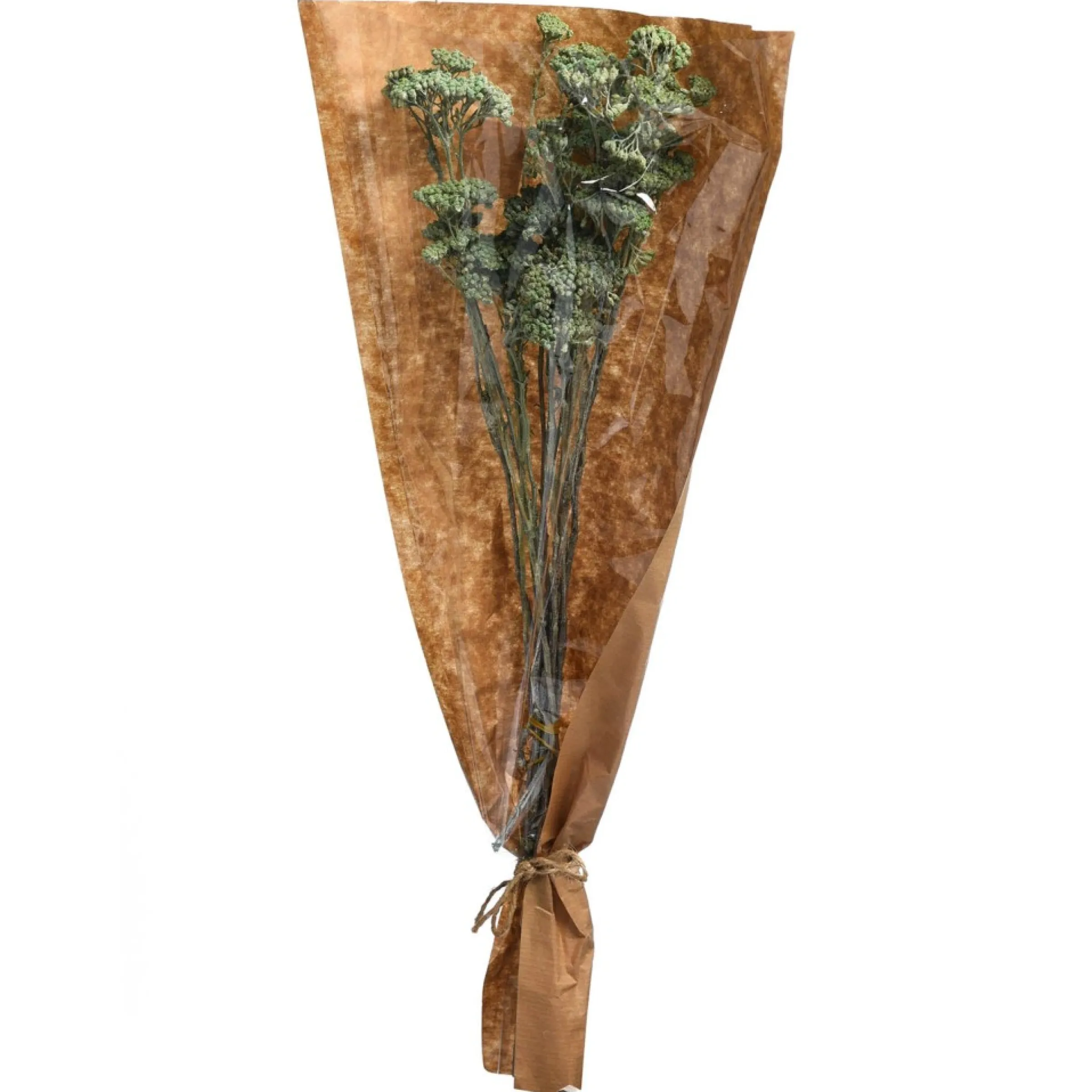 Depot Fagots Secs Achillea Hot