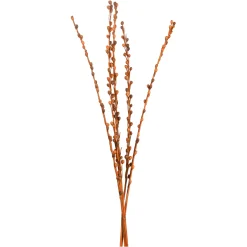 Depot Fagots Secs De Baies De La Mer