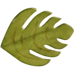 Depot Feuille De Monstre Artistique Sur Clip