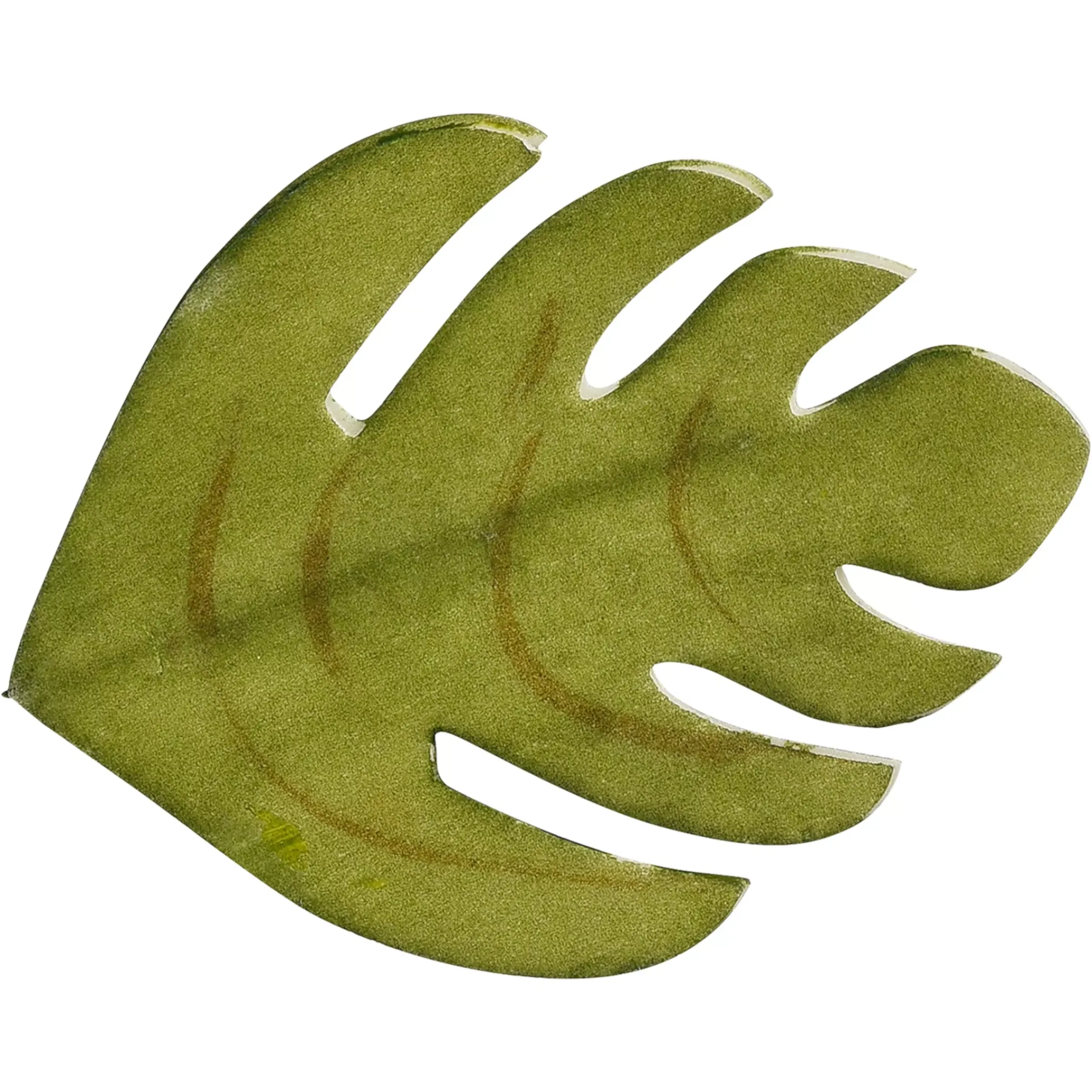 Depot Feuille De Monstre Artistique Sur Clip