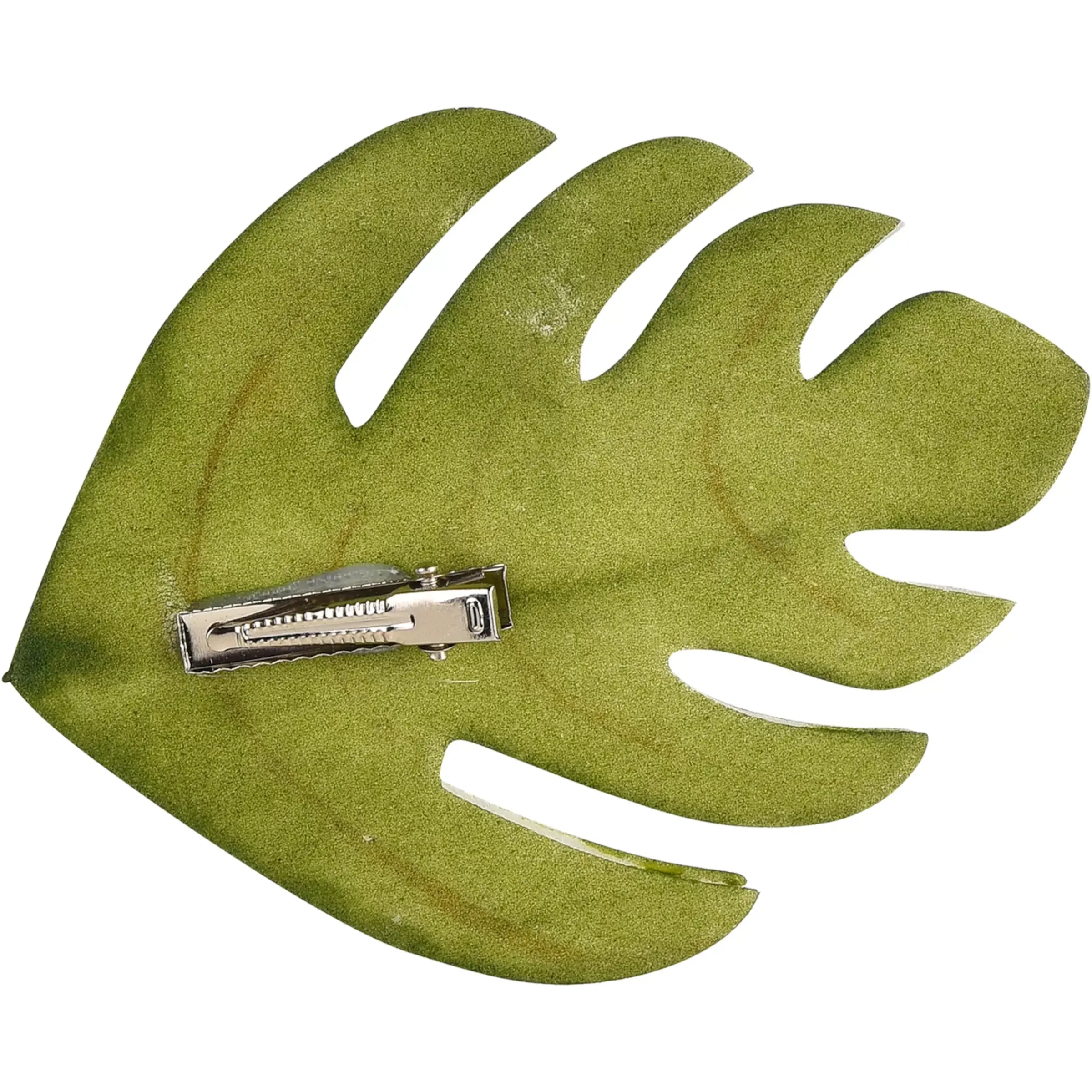 Depot Feuille De Monstre Artistique Sur Clip