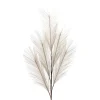Depot Fleur De Tige Artificielle Pampaswedel