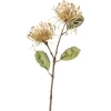 Depot Fleur De Tige Artificielle Protea