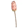 Depot Fleur De Tige Artificielle Protea Shop